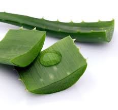 Aloe Vera Soap